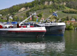 008 - dr Hörnlifelse